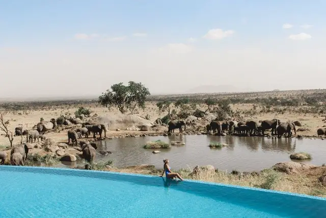 Four Seasons Serengeti: Sensasi Berenang Sambil Menyaksikan Alam Liar Afrika